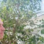 Вячеслав, 41 год